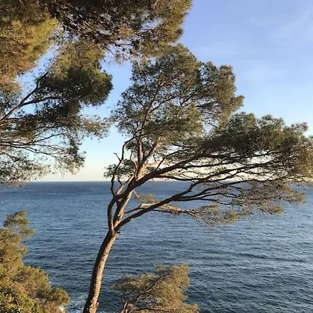 Overseeing The Sea