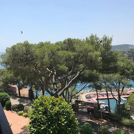 Overseeing The Sea Llafranc